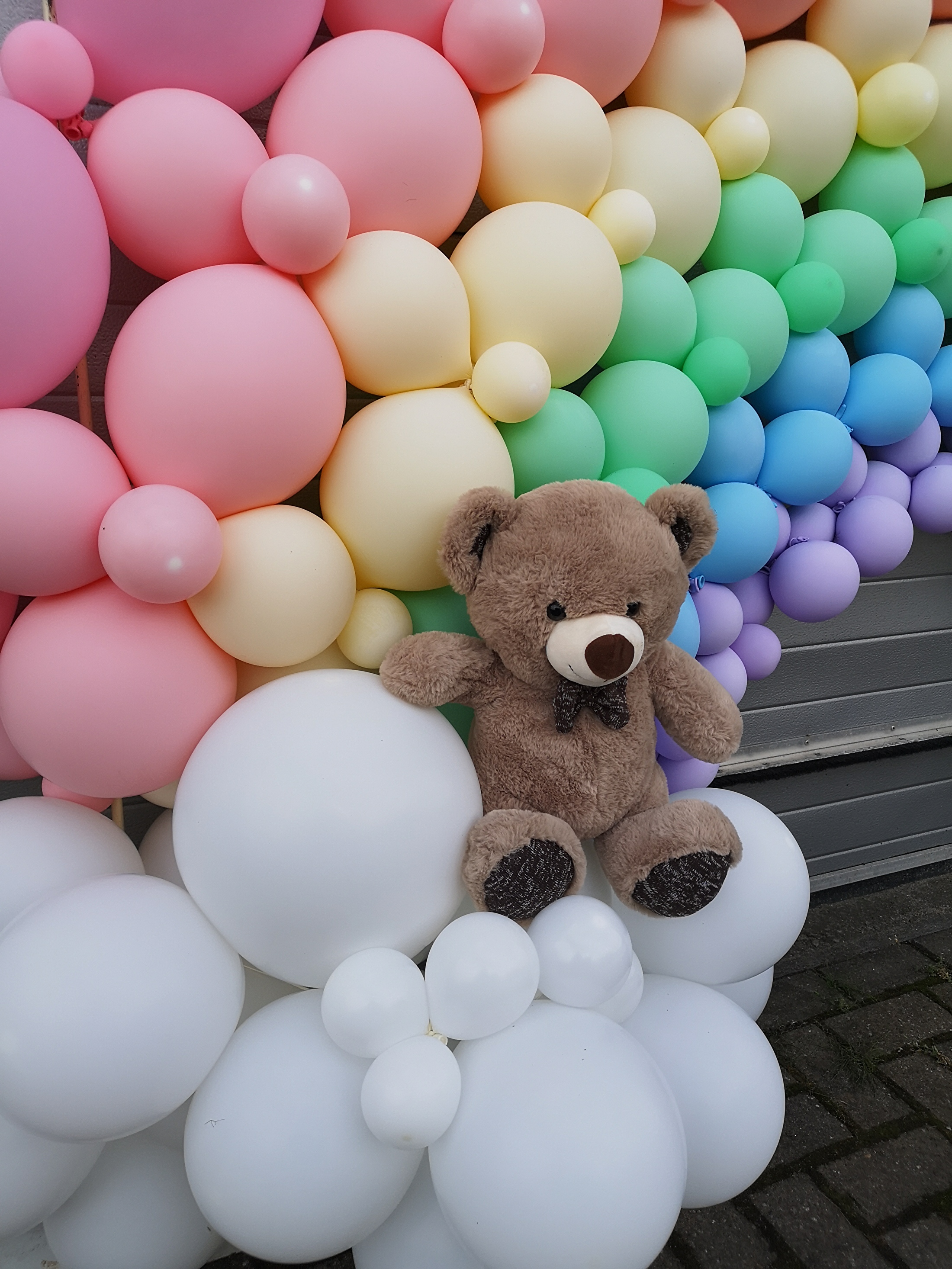 regenboog