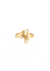 Zodiac ring - Sagittarius