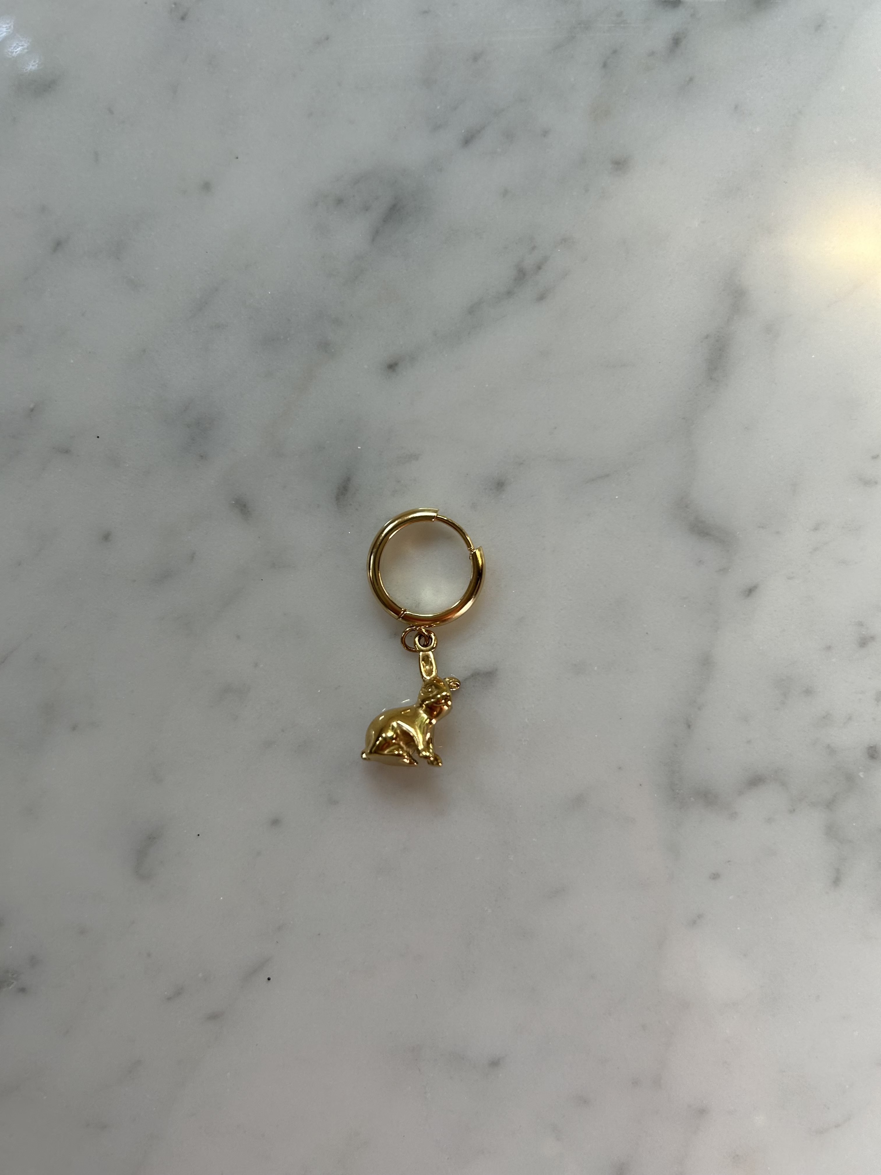Golden rabbit