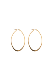 Golden oval hoops