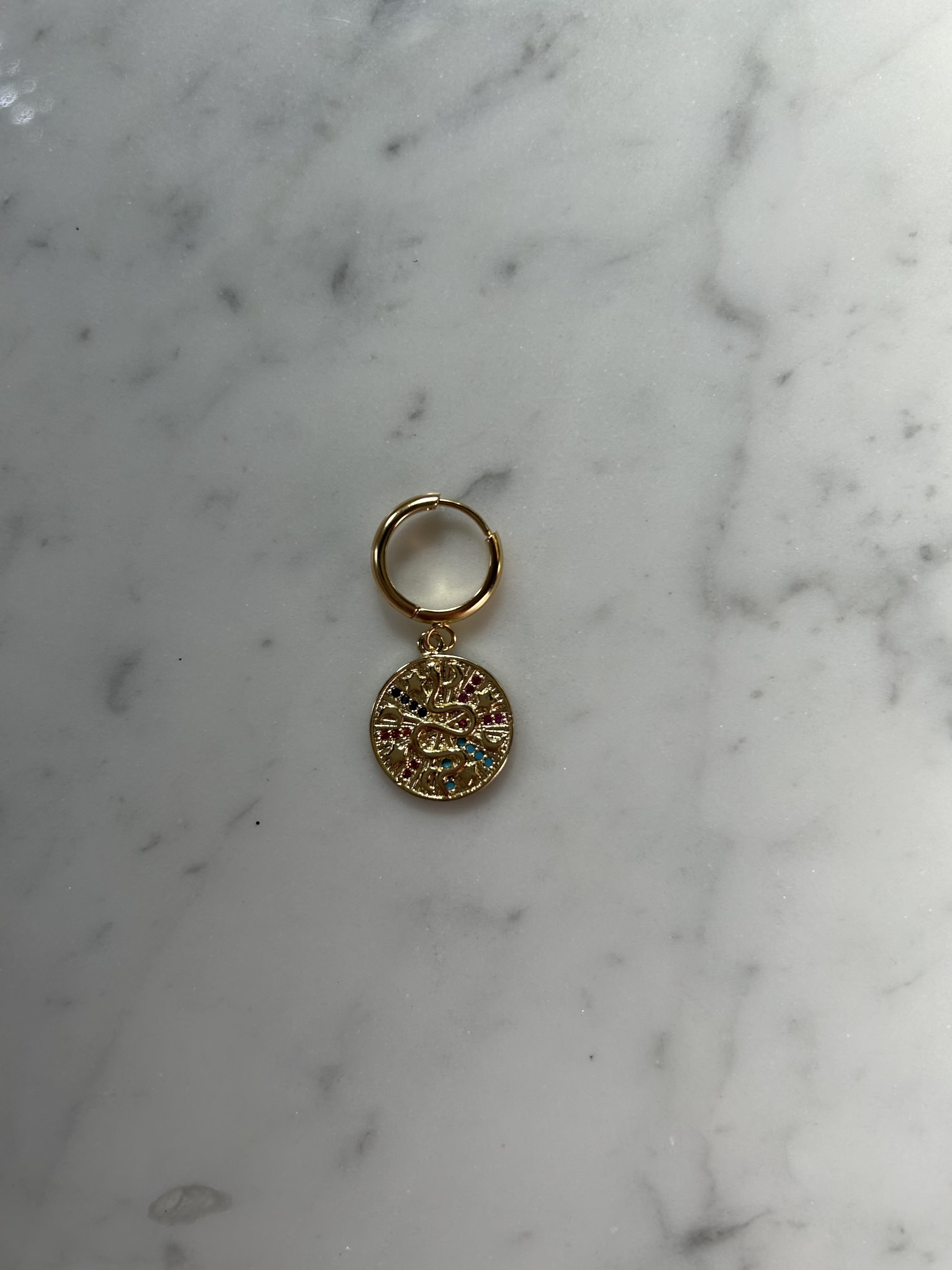 Golden snake coin