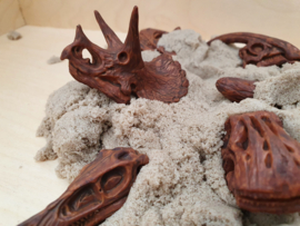 Dinosaur Skulls Toob, speelfiguren dino schedels