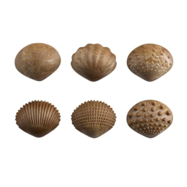Tickit tactile shells