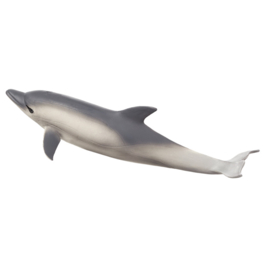 Mojo dolfijn