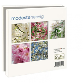 Modeste Herwig, kaartenmapje vierkant