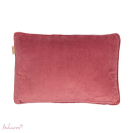 Kussen Feline rose