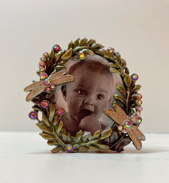 Fotolijstje Libelles