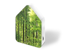 The Zwitscherbox - Forest
