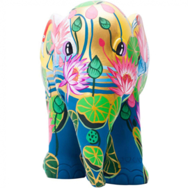 Amazing Lotus - 20 cm
