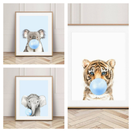 Posters Dieren - Kinderkamer - Babykamer - Bubble gum blauw 30x21cm - A4