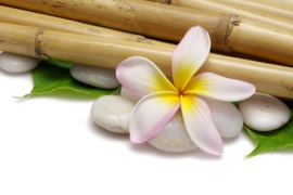 Bamboe massage ( Duo Massage )