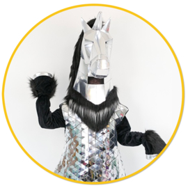 Mirror Horse