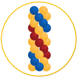 Ballonzuil