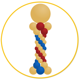 Ballonpilaar Luxe
