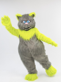 Crazy Cat