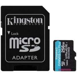 Kingston micro SD 256Gb