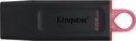 Kingston DataTraveler 256GB