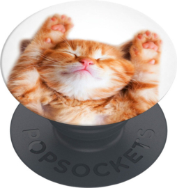 PopSockets PopGrip Basic - Snoozy Cat