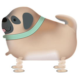 Hond