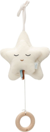 Baby Muziekhanger Star