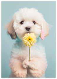 art.nr: 996010025 Hond Met Gerbera