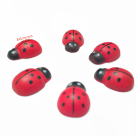 Houten magneten van rood lieveheersbeestje (klein), set van 6 dieren koelkastmagneten
