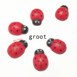 Houten magneten van rood lieveheersbeestje, set van 6 dieren koelkastmagneten