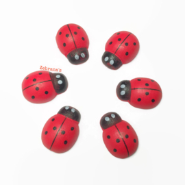 Houten magneten van rood lieveheersbeestje, set van 6 dieren koelkastmagneten