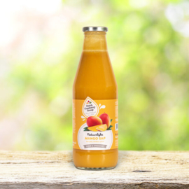 Puur 100% Mango - Ananas Sap