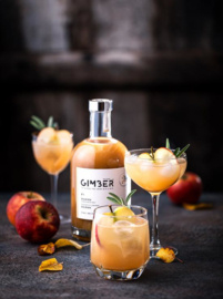 (ADVIES THT AUG 2025) Gimber Drink 500 ml. (20 glazen)  (gember)