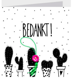 Kaart + Enveloppe: Bedankt!