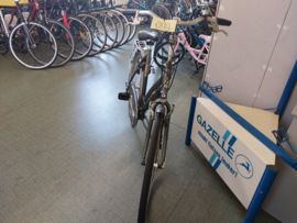 Gazelle Medeo