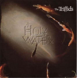 The Triffids – Holy Water (1988) (ALTERNATIVE)