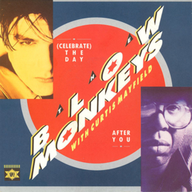 The Blow Monkeys & CURTIS MAYFIELD – (Celebrate) The Day After You (1987)