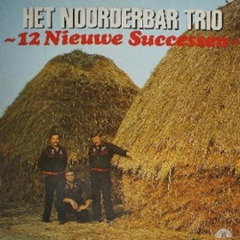Het Noorder Bar Trio ‎– 12 Nieuwe Successen (1980)