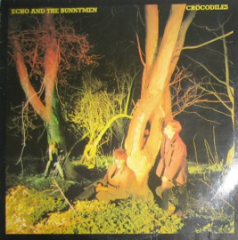 Echo & The Bunnymen ‎– Crocodiles (1980)
