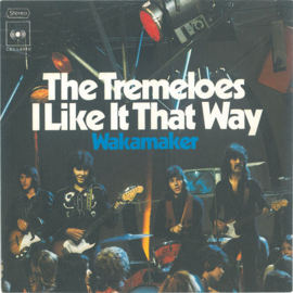 The Tremeloes – I Like It That Way  (1972)