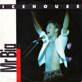 Icehouse – Mr Big (1986)