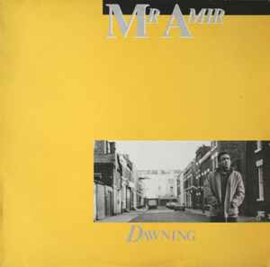 Mr Amir ‎– Dawning (1984) (NEW WAVE)