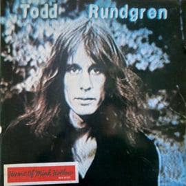 Todd Rundgren – Hermit Of Mink Hollow (1978)