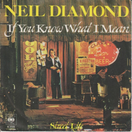 Neil Diamond – If You Know What I Mean (1976)