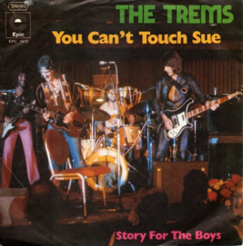 The Trems (TREMELOES) – You Can't Touch Sue (1973)