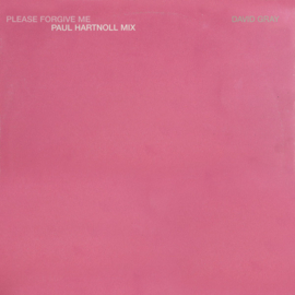 David Gray – Please Forgive Me (Paul Hartnoll Mix) (PROG HOUSE) (12")