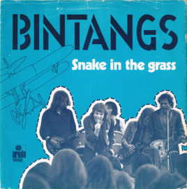 Bintangs – Snake In The Grass (1979) (DUTCH)