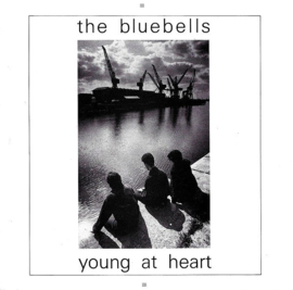 The Bluebells – Young At Heart (1984) (FOLK ROCK)