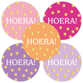 Stickers hoera stippen goudfolie - 10 stuks