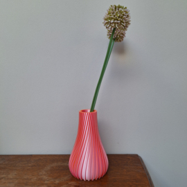 Model Nova 15 cm Roze-Oranje