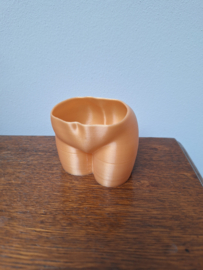 Billen planten pot 6cm - Goud