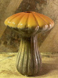 Paddestoel shiitake 2