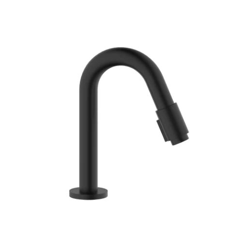 Easylux Vivo koudwaterkraan - uitloop 190 mm - zwart mat